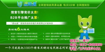 構(gòu)建高效信息平臺(tái) 深度解析信息易站通與和興網(wǎng)絡(luò)的在線咨詢服務(wù)